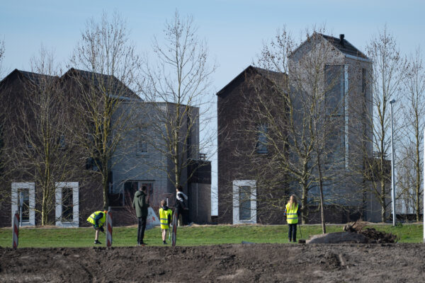 Plandelen
